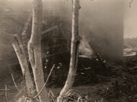 Casta 13a